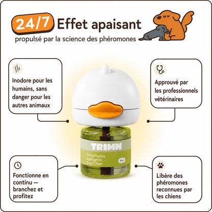 Recharges Trimn pour chien