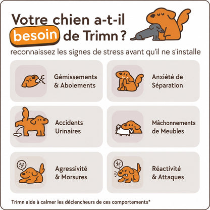Recharges Trimn pour chien