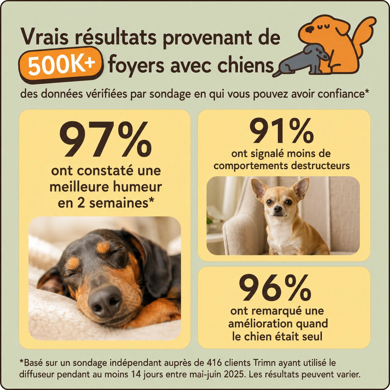 Recharges Trimn pour chien