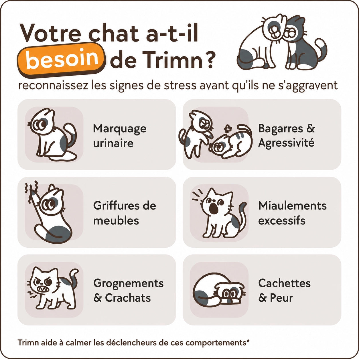 Kit diffuseur apaisant pour chat