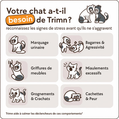 Kit diffuseur apaisant pour chat