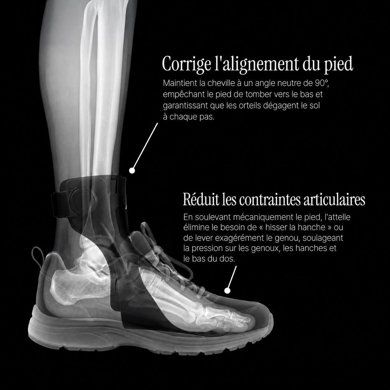 Orthèse de relevage du pied