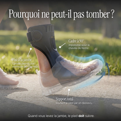 Orthèse de relevage du pied