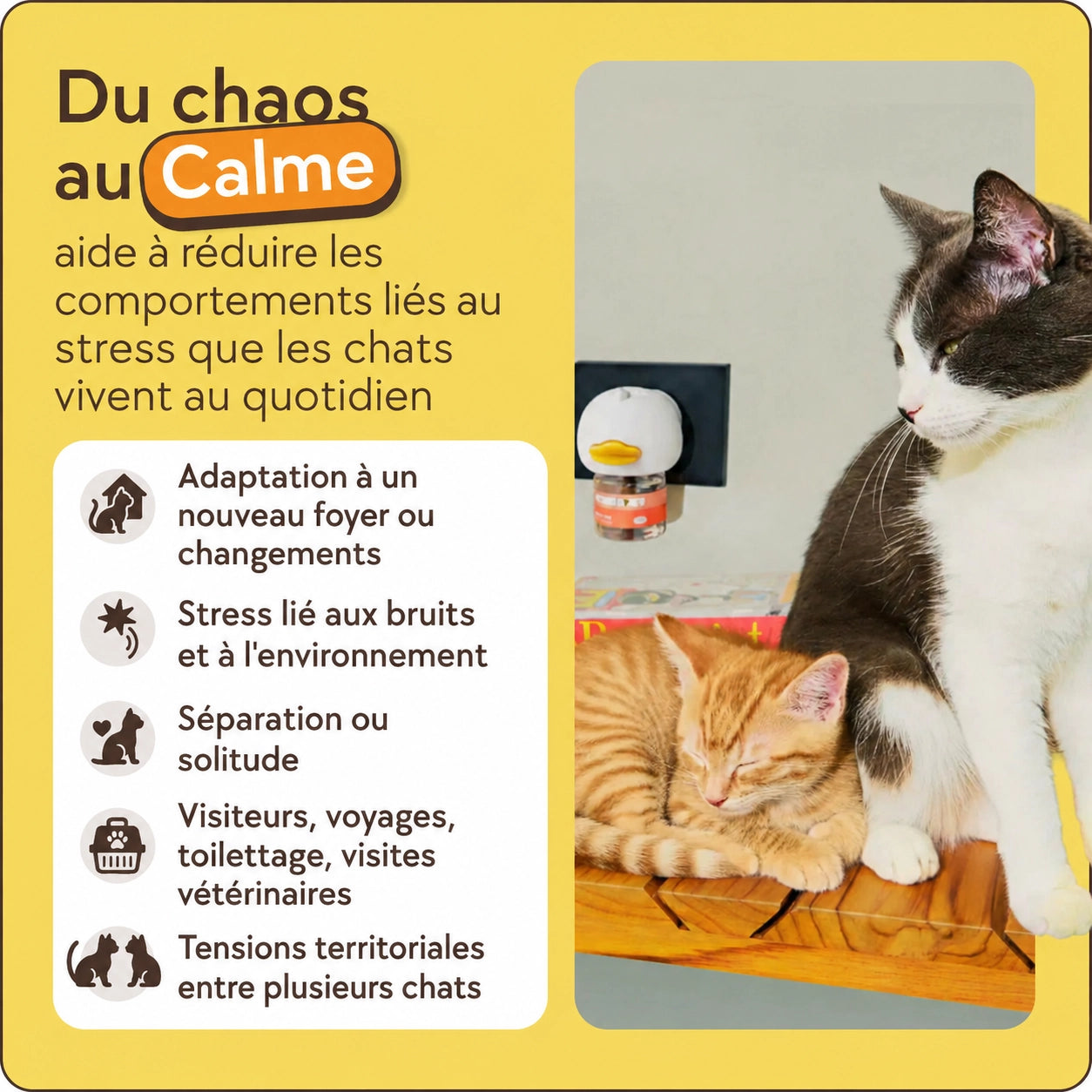Kit diffuseur apaisant pour chat